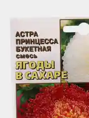 Семена Астра "Ягоды в сахаре", цветы