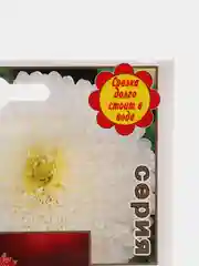 Семена Астра "Ягоды в сахаре", цветы