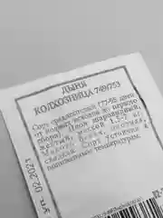 Белый семена дыня "Колхозница"