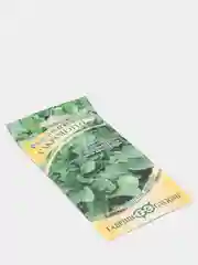 Рукола Индау Сакраменто, семена