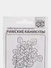 Семена Рукола (индау) "Римские каникулы"