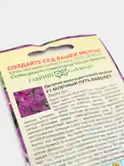 Петуния Млечный путь вайолет (семена, цветы)