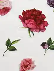 Коралловый наклейки-стикеры для ежедневника.  Бумажные наклейки для творчества, 72 вида