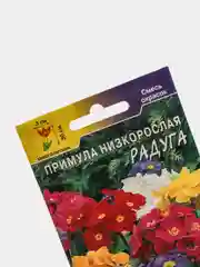 Примула Радуга, семена, цветы