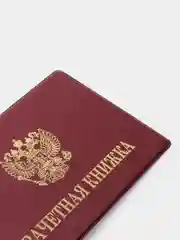 Бордовый обложка для зачетной книжки