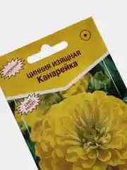 Цинния изящная "Канарейка", семена цветов