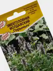 Змееголовник молдавский "Горыныч", семена цветов