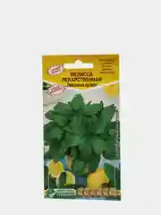 Мелисса, семена цветов