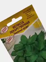Мелисса, семена цветов