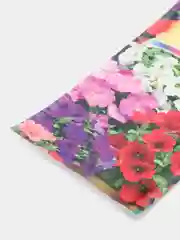 Петуния "Глафира" (семена, цветы)