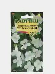 Азарина лазающая "Музыка дождя", семена гавриш