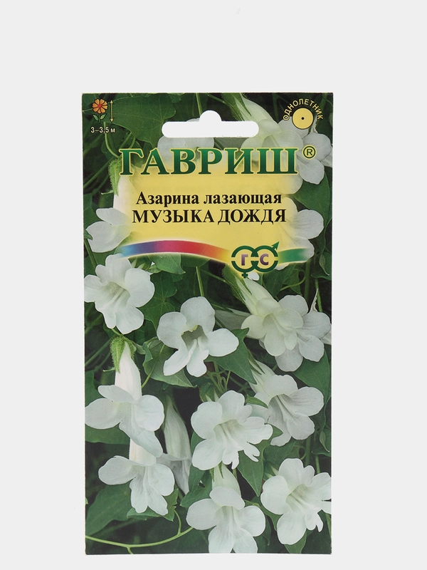 Азарина лазающая "Музыка дождя", семена гавриш