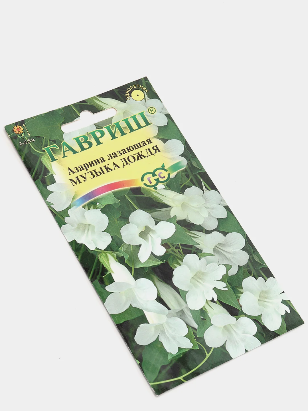 Азарина лазающая "Музыка дождя", семена гавриш