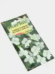Азарина лазающая "Музыка дождя", семена гавриш