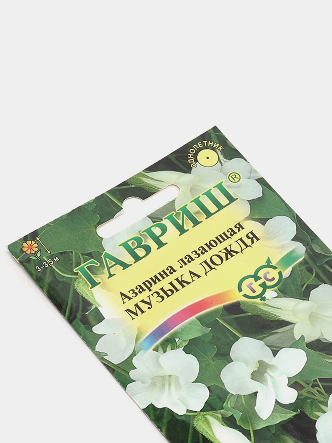 Азарина лазающая "Музыка дождя", семена гавриш