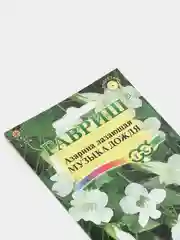 Азарина лазающая "Музыка дождя", семена гавриш