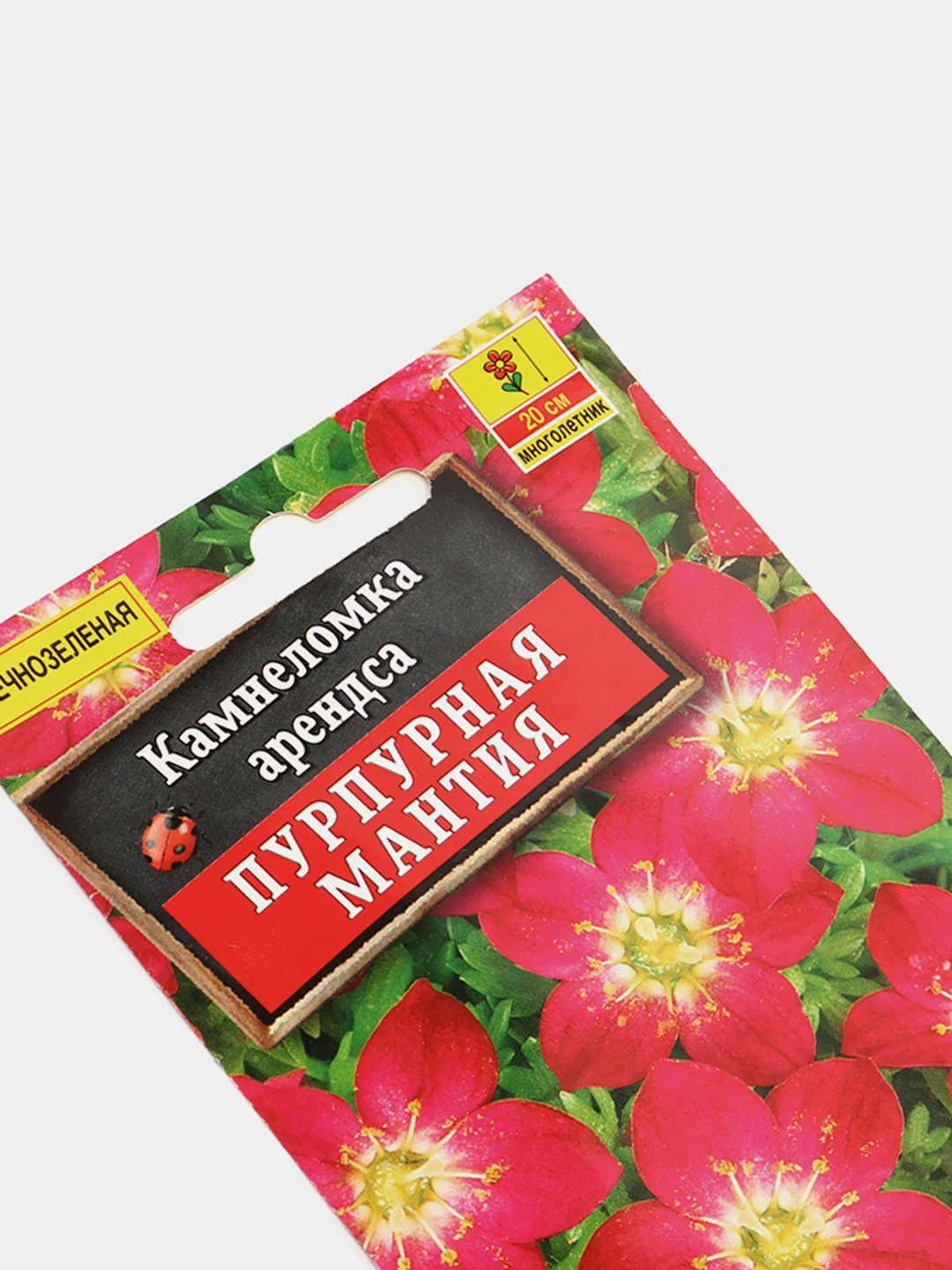 Камнеломка "Пурпурная мантия", семена цветов