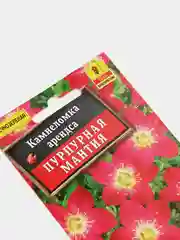 Камнеломка "Пурпурная мантия", семена цветов