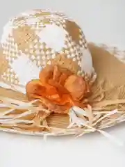 Коричневый шляпа женская