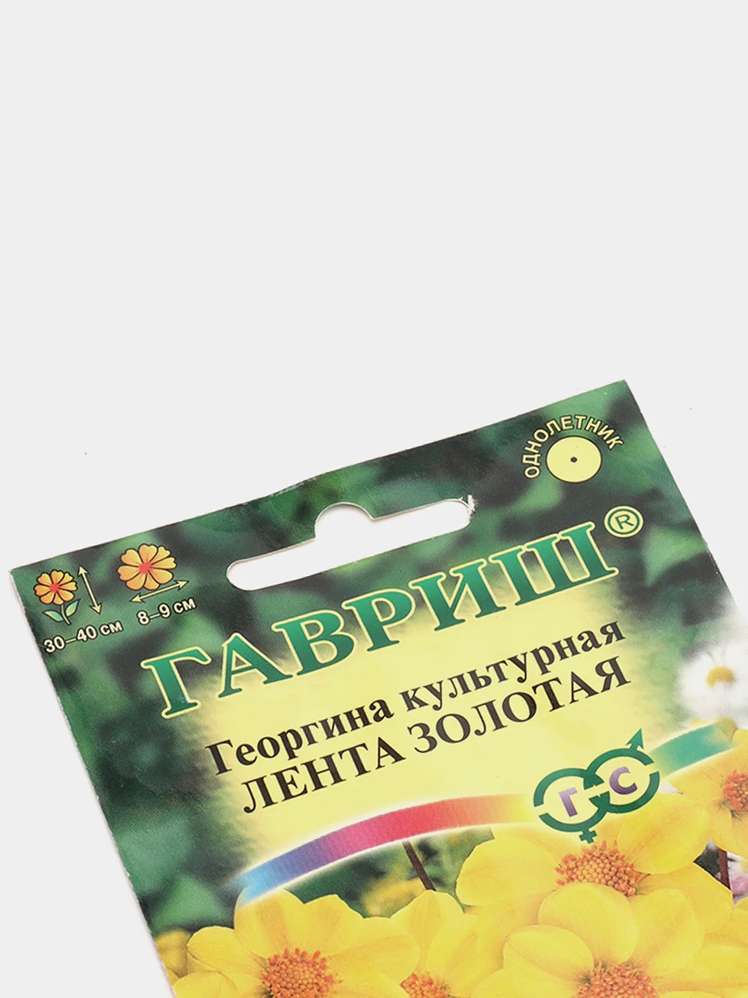 Георгина Лента золотая (семена,цветы)