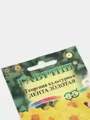 Георгина Лента золотая (семена,цветы)
