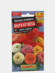 Семена цветы "Цинния Бархат лета"