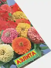 Семена цветы "Цинния Бархат лета"