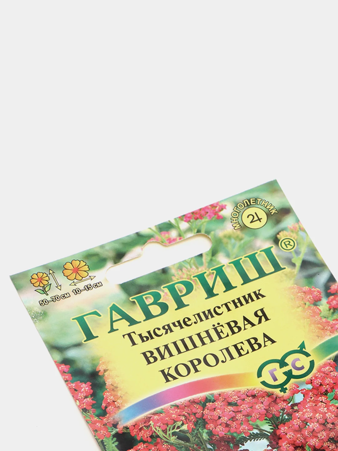 Тысячелистник Вишневая королева (семена,цветы)