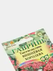 Тысячелистник Вишневая королева (семена,цветы)
