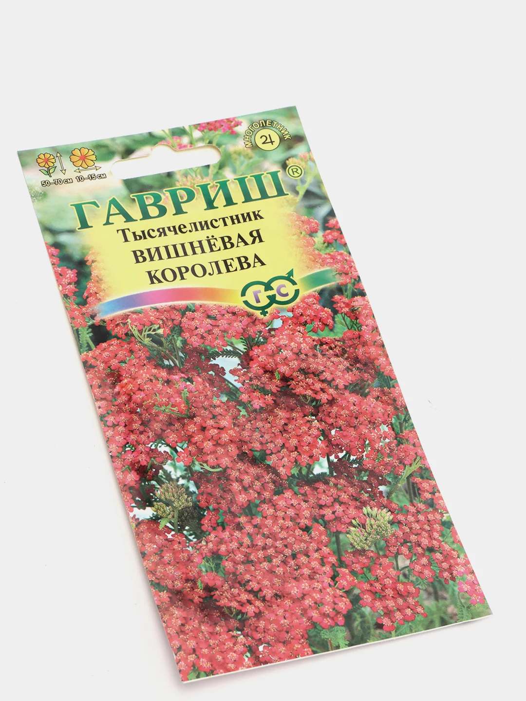 Тысячелистник Вишневая королева (семена,цветы)