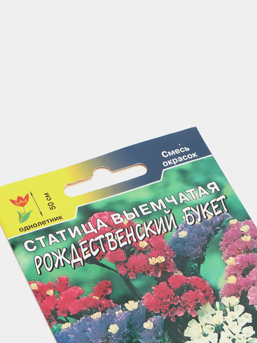 Статица Рождественский, семена, цветы