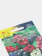 Статица Рождественский, семена, цветы
