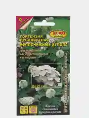 Семена Гортензия "Белоснежные купола"
