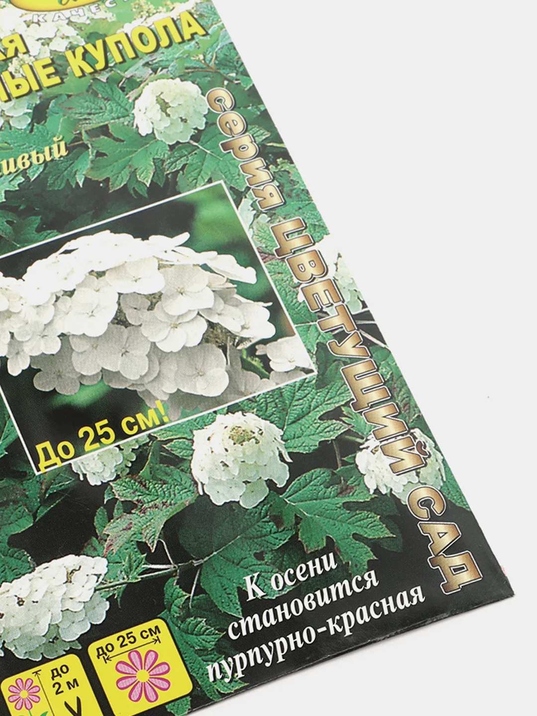 Семена Гортензия "Белоснежные купола"