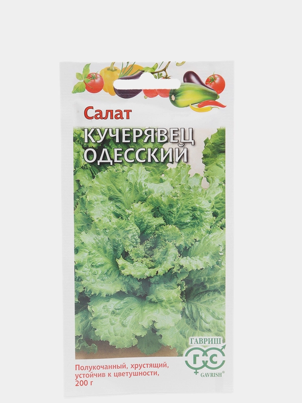 Салат Одесский кучерявец (семена)