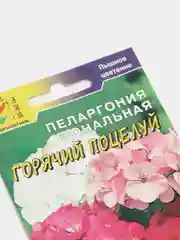 Пеларгония "Горячий поцелуй", семена, цветы