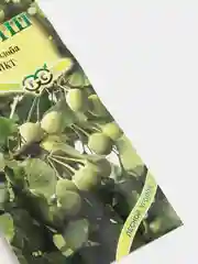 Гинкго билоба Реликт (семена,цветы)
