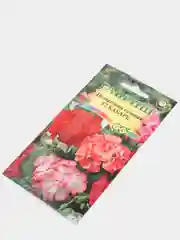 Пеларгония "Кабаре", семена, цветы