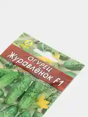 Огурец "Журавленок", семена,раннеспелый сорт