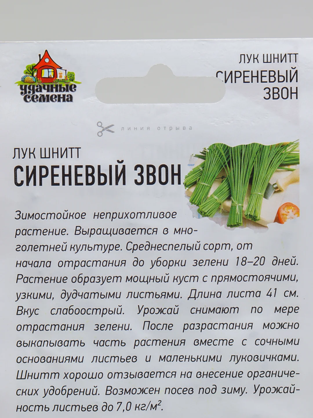Лук шнитт Сиреневый звон, семена
