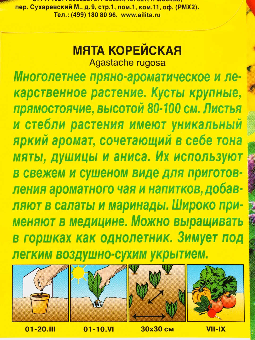 Семена Мята "Корейская"