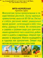 Семена Мята "Корейская"