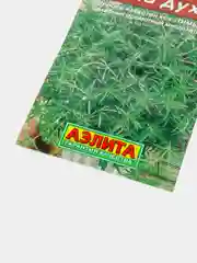 Семена Аэлита, чабрец "Сила духа"