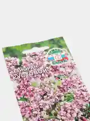 Майоран кустовой, семена, Седек
