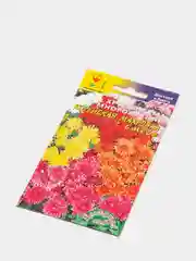 Хризантема многолетняя "Корейская махровая", семена, Цветущий сад
