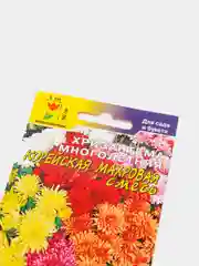 Хризантема многолетняя "Корейская махровая", семена, Цветущий сад