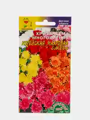 Хризантема многолетняя "Корейская махровая", семена, Цветущий сад