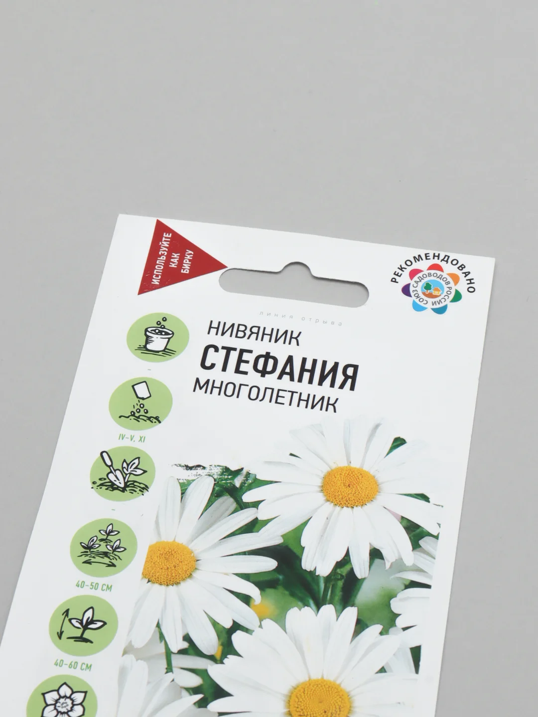 Удачные семена Нивяник "Стефания", многолетник