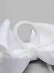 Белый бант белый