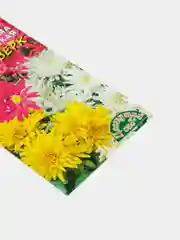 Семена цветов Хризантема индийская "Фейерверк"